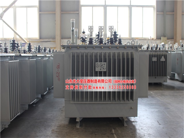 株洲S22-4000KVA油浸式变压器